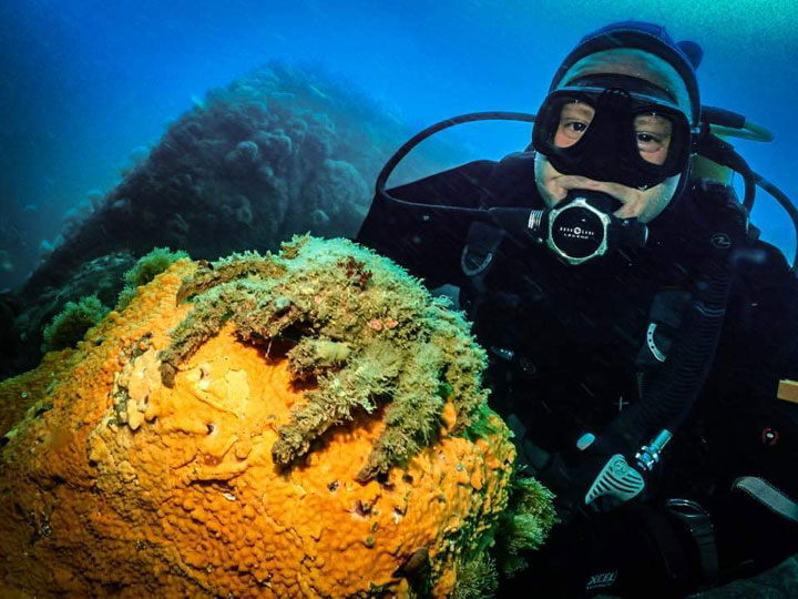 SCUBA diver next to moss crab under water